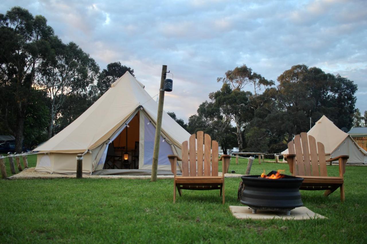 Pine Country Caravan Park Mount Gambier Esterno foto