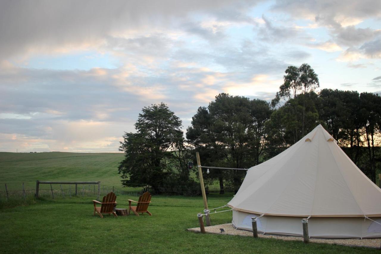 Pine Country Caravan Park Mount Gambier Esterno foto