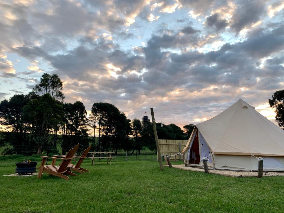 Pine Country Caravan Park Mount Gambier Esterno foto