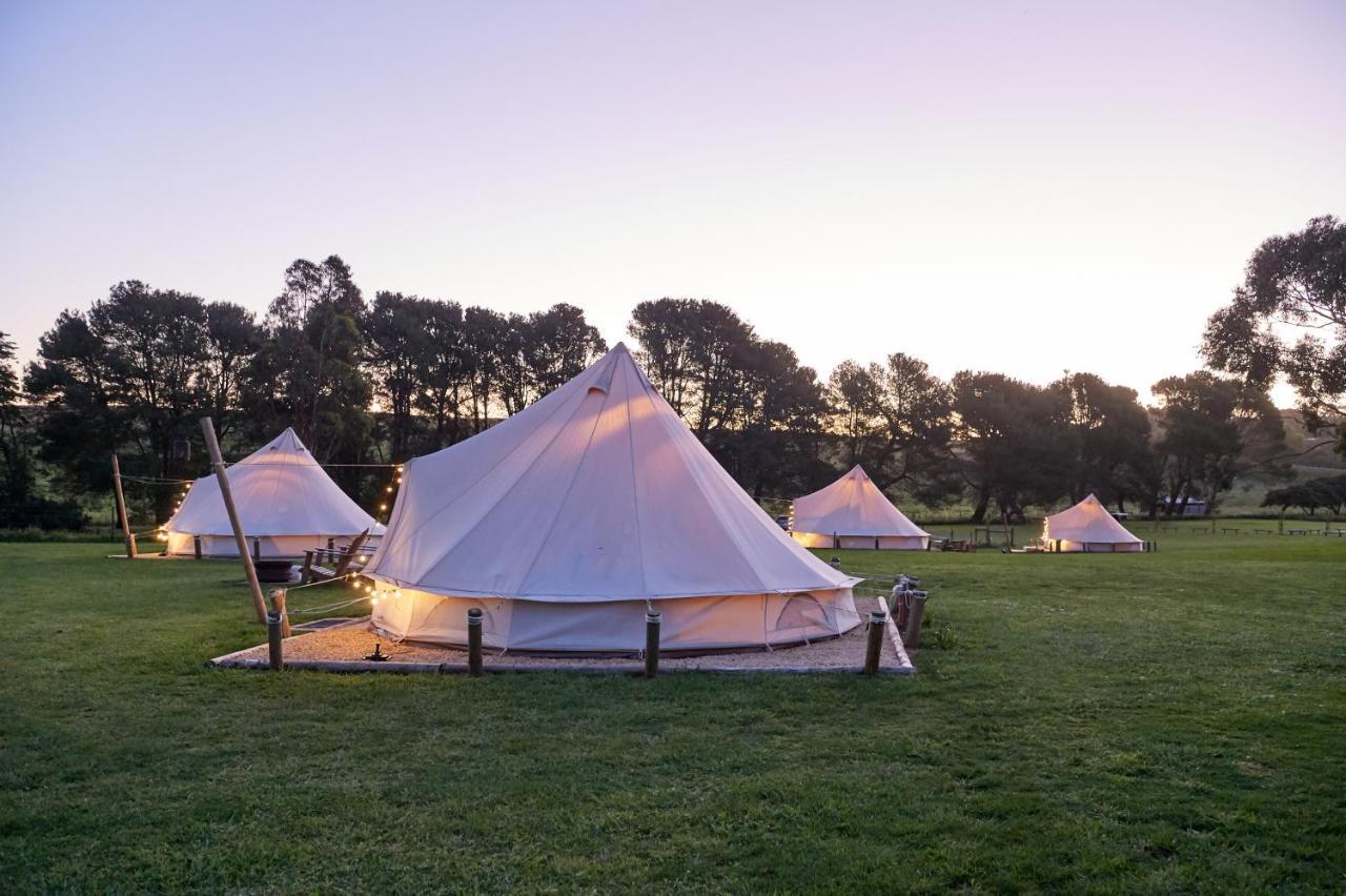 Pine Country Caravan Park Mount Gambier Esterno foto