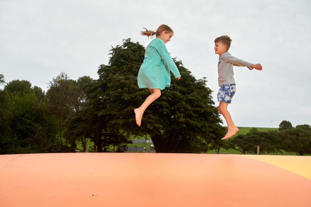 Pine Country Caravan Park Mount Gambier Esterno foto
