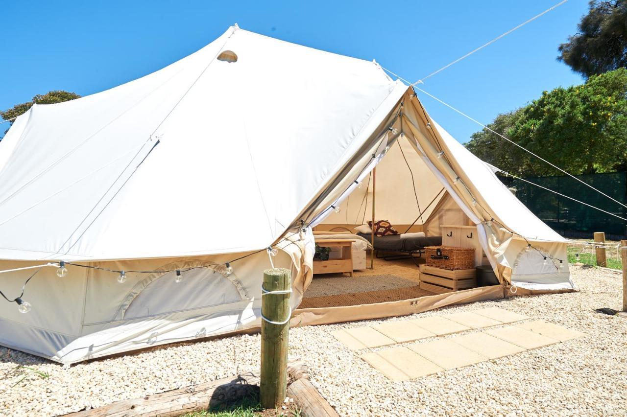 Pine Country Caravan Park Mount Gambier Esterno foto